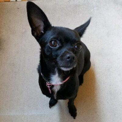 Profile Picture of Nicholas Gianopoulos (@nickythursday) on Twitter