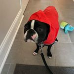 Patrick Humbert - Instagram Profile Picture of Patrick Humbert (@patrickhumbert665) on Instagram