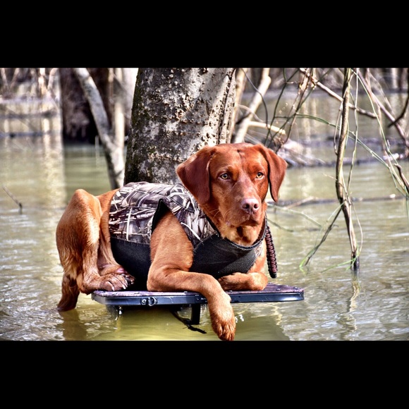 Carson Yates - Poshmark Profile Picture of Carson Yates (@carson_yates) on Poshmark