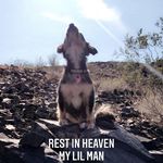 Profile Picture of Steven Gilchrist (@stevenyolo) on Instagram