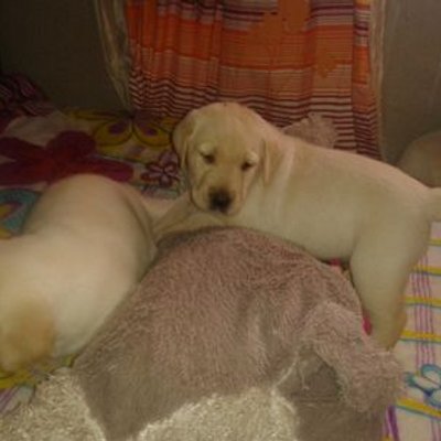 Profile Picture of Yeraldin Vasquez (@vasquez_yeral) on Twitter