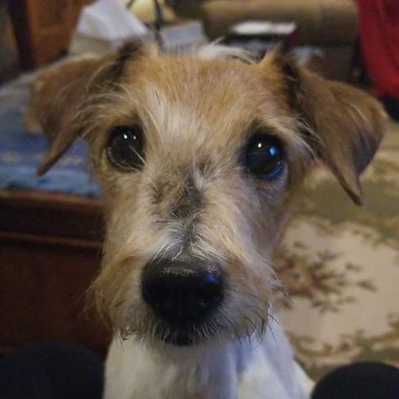 Profile Picture of Robin Aronhalt (@robinaronhalt) on Poshmark