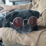 Profile Picture of Preston Burns (@pretzelbuns131) on Instagram