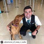 William Humphrey - Instagram Profile Picture of William Humphrey (@williamhumphrey96) on Instagram