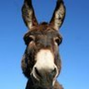 Profile Picture of Hannah Sutherland (@hannahsutherland1897) on Youtube