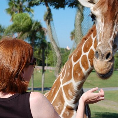 Profile Picture of Anne Tucker (@AnneTuckerTweet) on Twitter