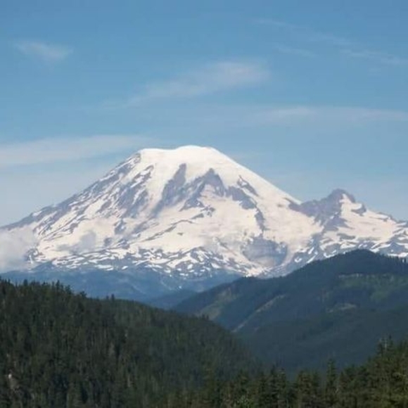 Profile Picture of Virginia Sharpe (@sharpmuse) on Poshmark