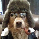 Profile Picture of Rob Longenecker (@flyerdoggie) on Instagram