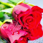 Profile Picture of lora kovačić (@12_lorica_12) on Instagram