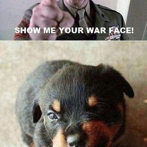 Profile Picture of John Smith (@silvertigerbeast) on Myspace