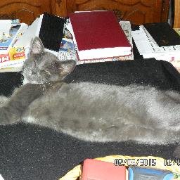 Profile Picture of Marie-rose Otten (@roseotten1) on Twitter