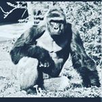 Profile Picture of john huts (@shabalabasingdong6098) on Instagram