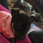 Profile Picture of Dorothy Judge (@dorothy.judge.73) on Instagram