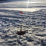 Profile Picture of Thomas (@thomas_struck__) on Instagram