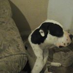 Profile Picture of michael grissom (@michaelgsmail26) on Instagram