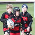 Profile Picture of Tom Calloway (@tom_calloway123) on Instagram
