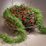 Profile Picture of Flowerevents Meggen (@zuber_karl) on Instagram