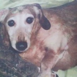 Profile Picture of Miley Layton Davis (@MileyLayton) on Twitter