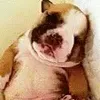 Profile Picture of Ashley Russell (@ashleyrussell26) on Tiktok