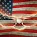 Profile Picture of Thomas Ransom (@ransom0848) on Pinterest