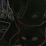 Kyle Hiles - Instagram Profile Picture of Kyle Hiles (@hileskyle) on Instagram