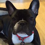 Profile Picture of Jeremy Cryer (@jeremycryer) on Instagram