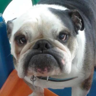 Profile Picture of Andrew Omashel (@@Mingus69) on Twitter