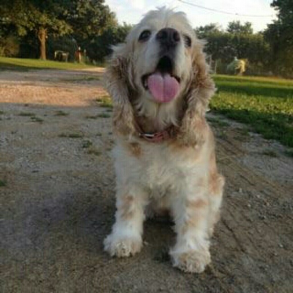 Profile Picture of Lela Schmidt (@lelafaye) on Poshmark