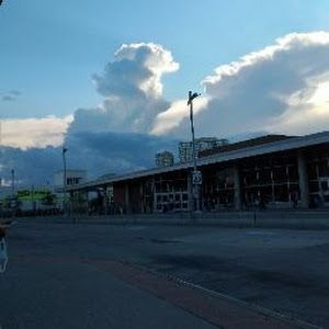 Profile Picture of Tricia Ramrup (@headhunter453) on Tiktok