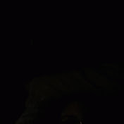 Profile Picture of Lisa Dailey (@ldailey1) on Youtube