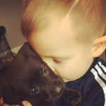 Profile Picture of Andrew Laxton (@laxton88) on Instagram