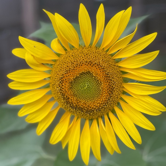 .ridingwildfire @ridingwildfire - Poshmark Profile Picture of .ridingwildfire @ridingwildfire (@kansascitystore) on Poshmark