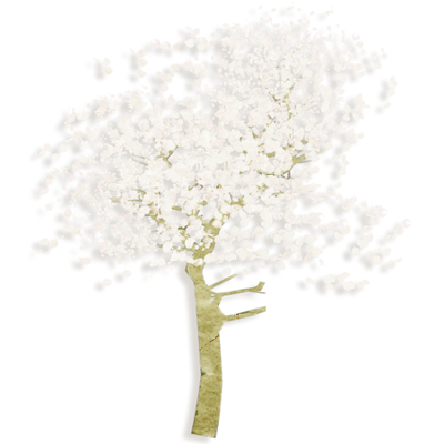 Profile Picture of Mariel Johnson (@marielj68737343) on Twitter