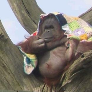 Profile Picture of I'm a boy 11 years old (@nate_richerdson) on Tiktok