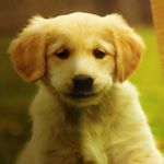 Profile Picture of Evie Norris (@eviepatchharry) on Instagram