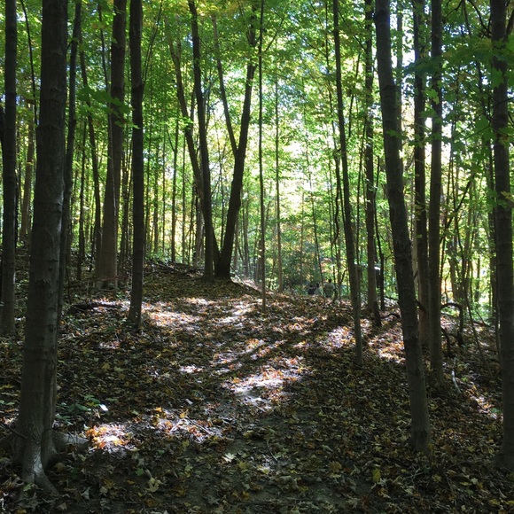 Profile Picture of Erin Kubala (@ekubala1) on Poshmark