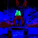 Profile Picture of Sam Suggs (@samuel_cs_) on Instagram