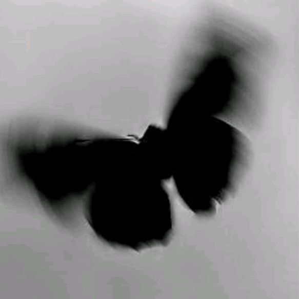 Profile Picture of vyynnn🩹 (@chandra.vy) on Tiktok