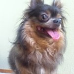 Profile Picture of James Holsworth (@nakkax) on Instagram