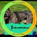 Profile Picture of Joey Ansley (@joey.ansley.5) on Facebook