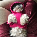 Profile Picture of Laurie Wilcox (@bonusn01) on Instagram