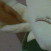 Profile Picture of Luis Estevez (@luisestevez9633) on Youtube