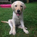 Rita Rufferella - Instagram Profile Picture of Rita Rufferella (@rita_rufferella) on Instagram