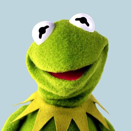 Profile Picture of kermitdays (@kermitdays) on Tiktok