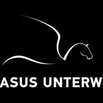 Profile Picture of Peter Strub (@pegasusunterwegs) on Instagram