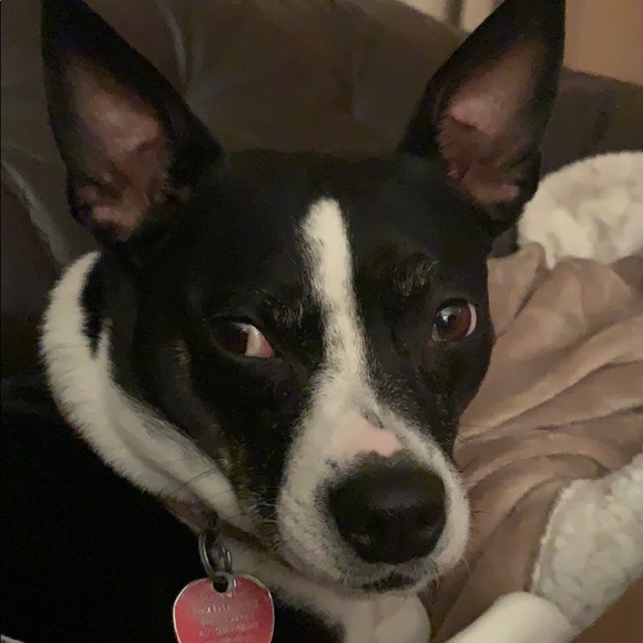 Chris Raymond - Poshmark Profile Picture of Chris Raymond (@chrissypants426) on Poshmark