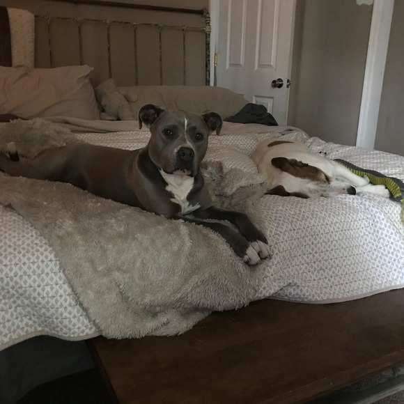 Profile Picture of Nayah Mccullouch (@lmccullouch) on Poshmark