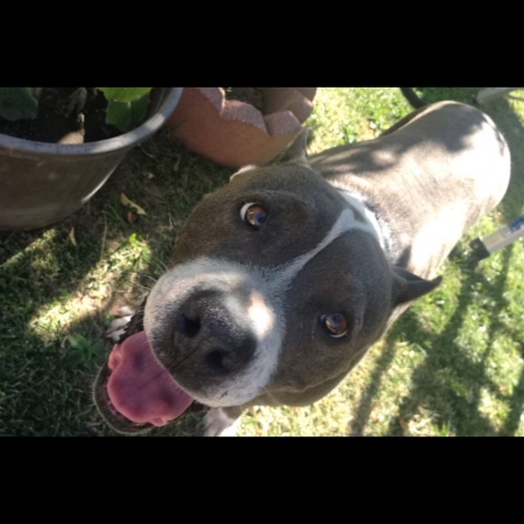 Profile Picture of James Vong (@jamesvonglong) on Poshmark