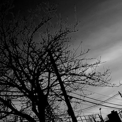 Profile Picture of Justin Carpio (@brxkenvibeez) on Twitter