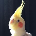 Profile Picture of Joyce Duncan Ralph (@ralph.joyce) on Instagram